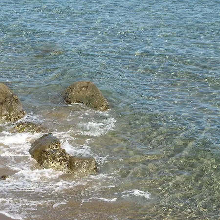 Il Dono Di Atena